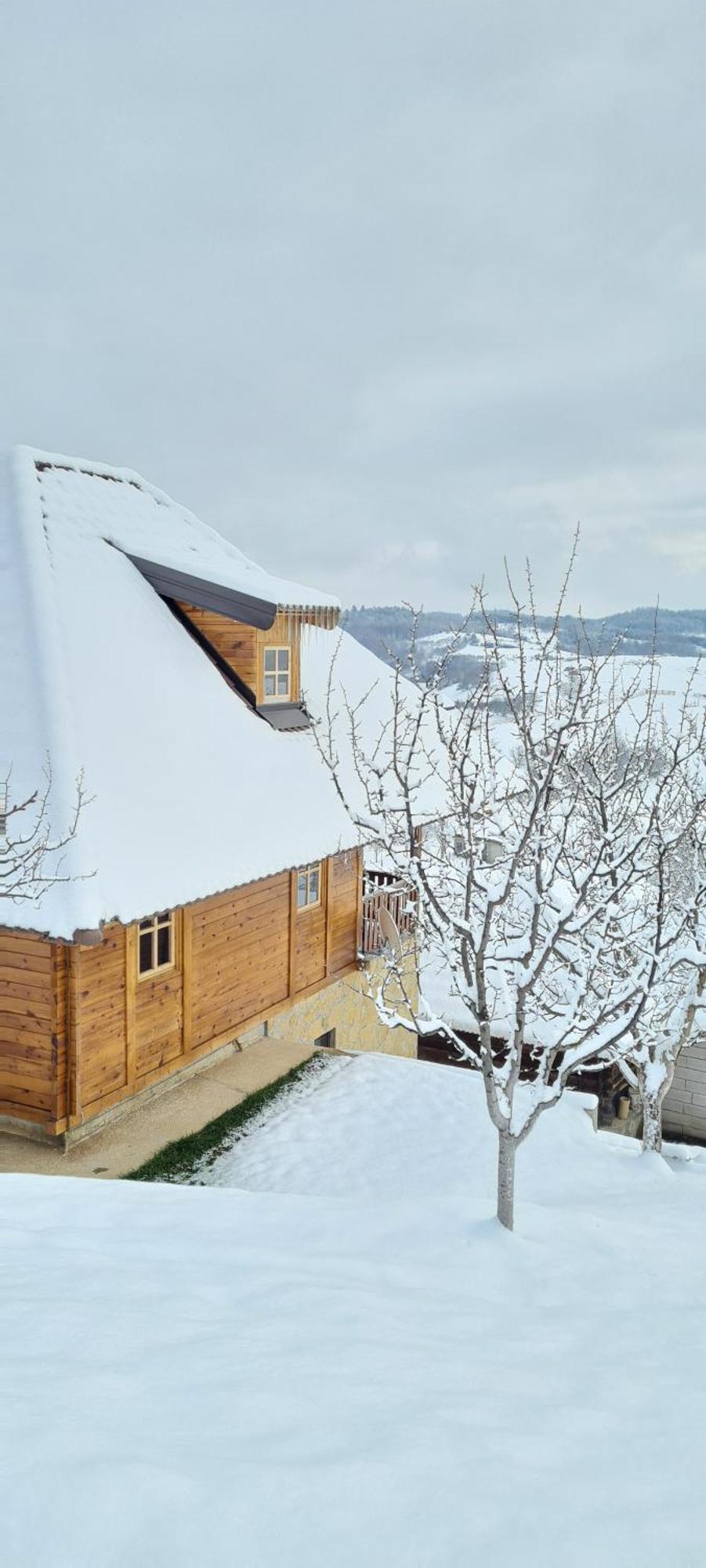 Rankovi Konaci Villa Zlatibor Room photo